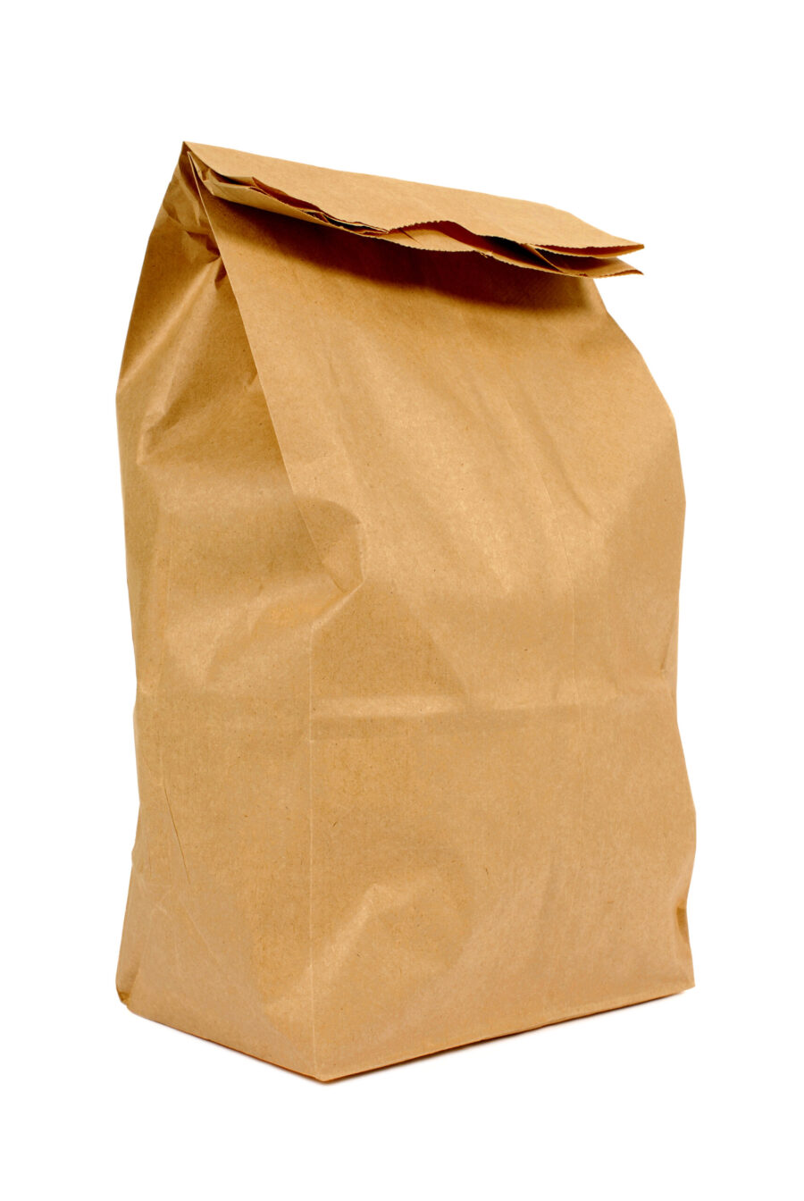 Paper Food Bags